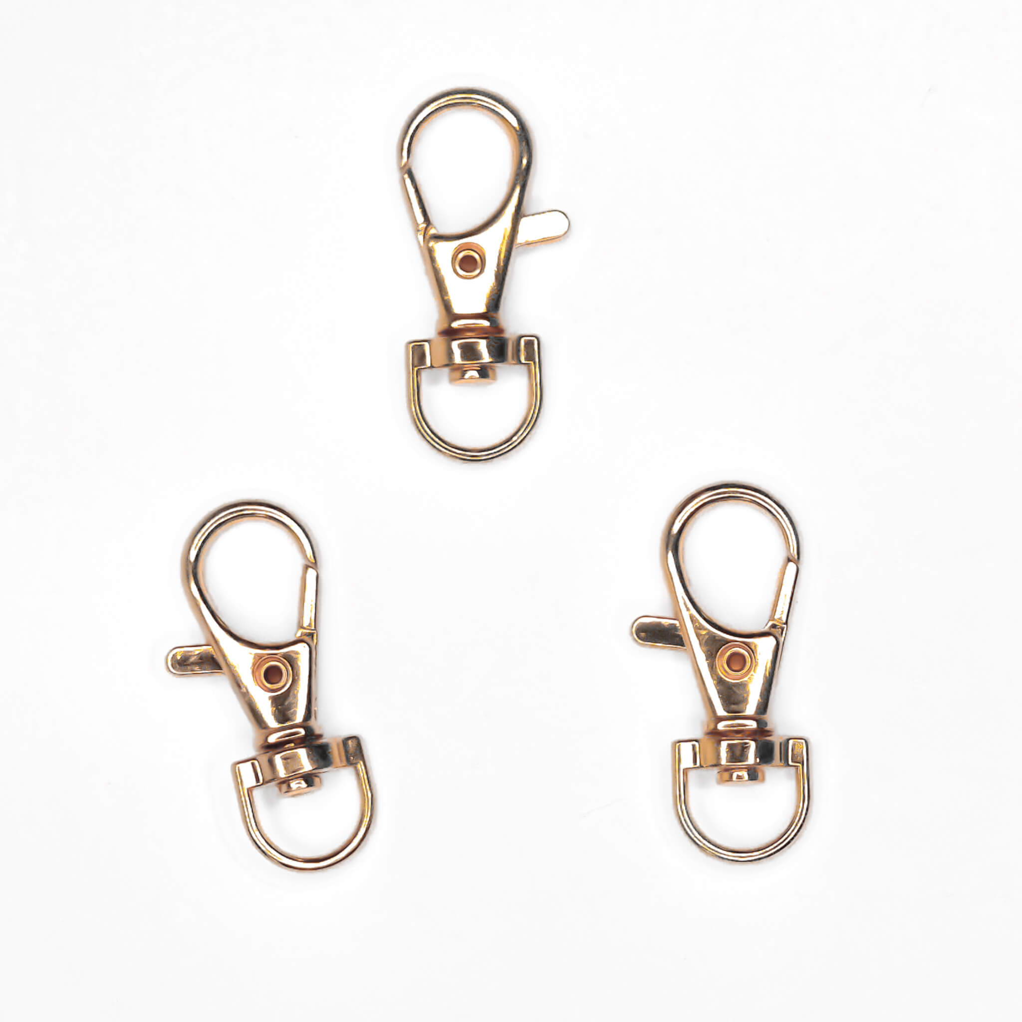 20230110_120414 Musketenhaken - Champagner – Bild 1