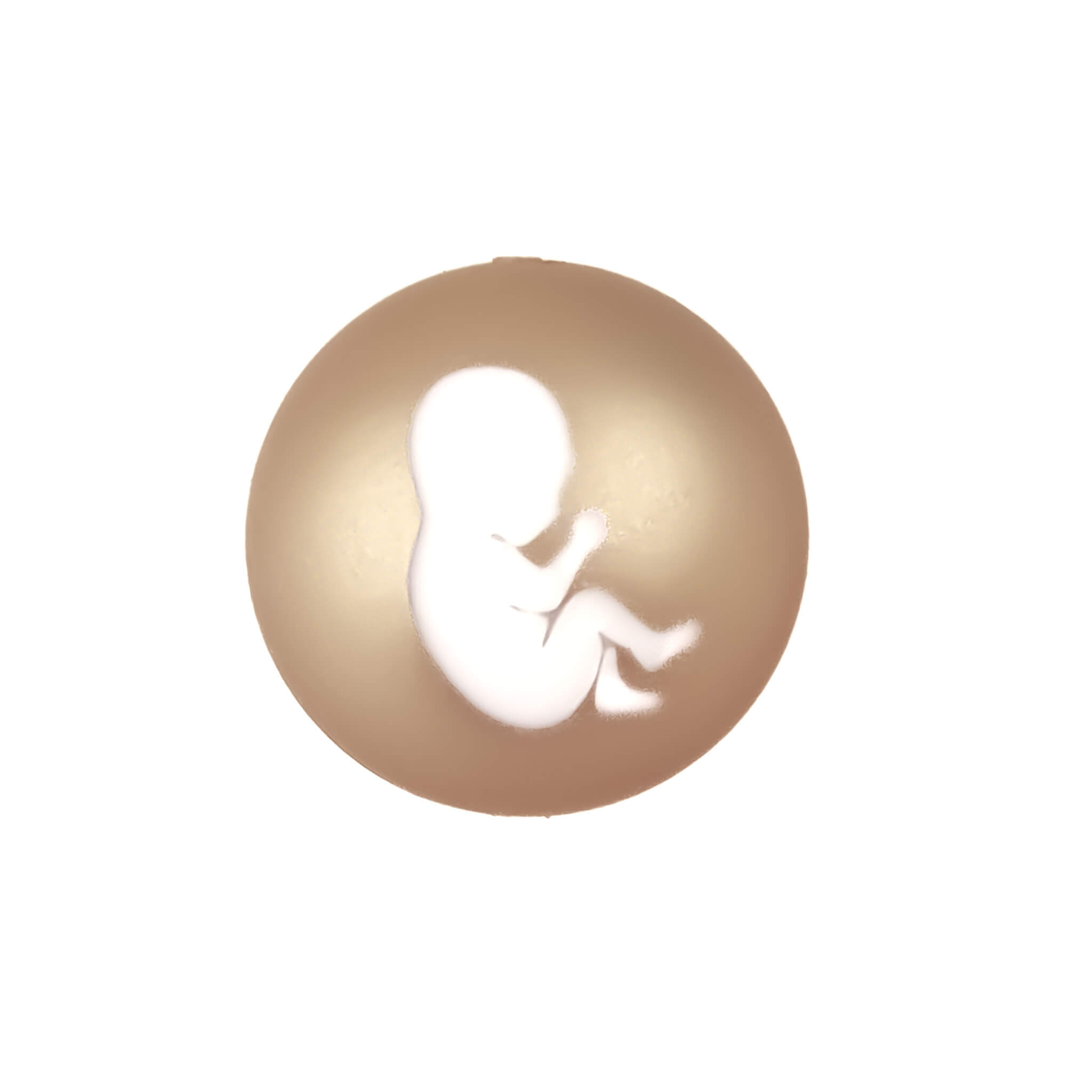 Silikonperlen graviert Champagner Nugget Baby Werbegeschenk Hebamme Silikonperlen graviert Champagner Nugget Baby Werbegeschenk Hebamme