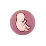 Silikonperlen Babybauch Dark Rose 21 mm Großhandel bpa frei