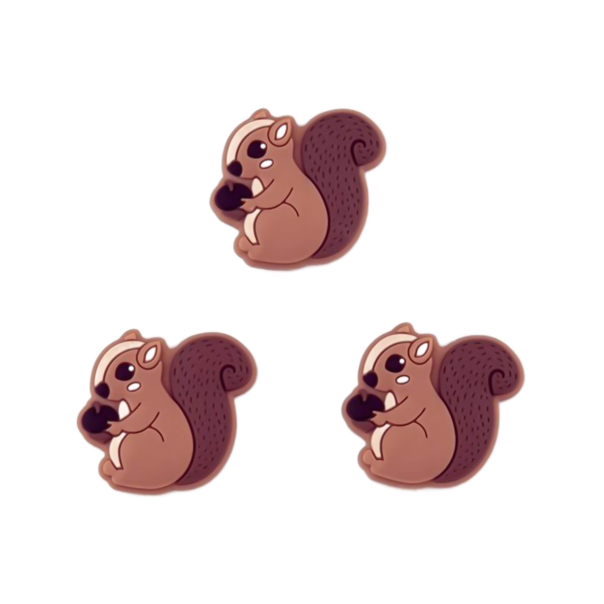 Eichhörnchen mit Eichel Eichhörnchen mit Eichel