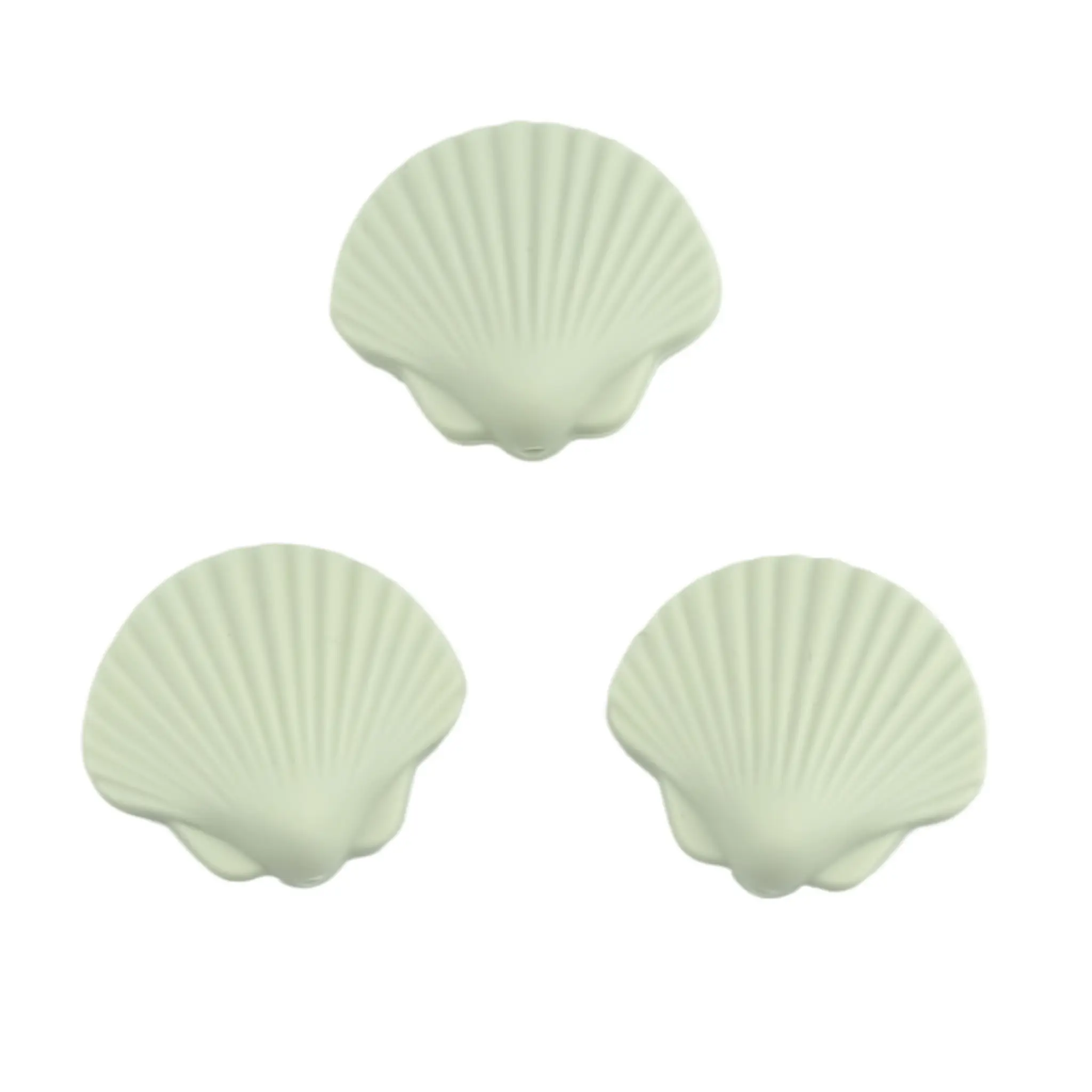 Schelp - Aloë Schelp - Aloë