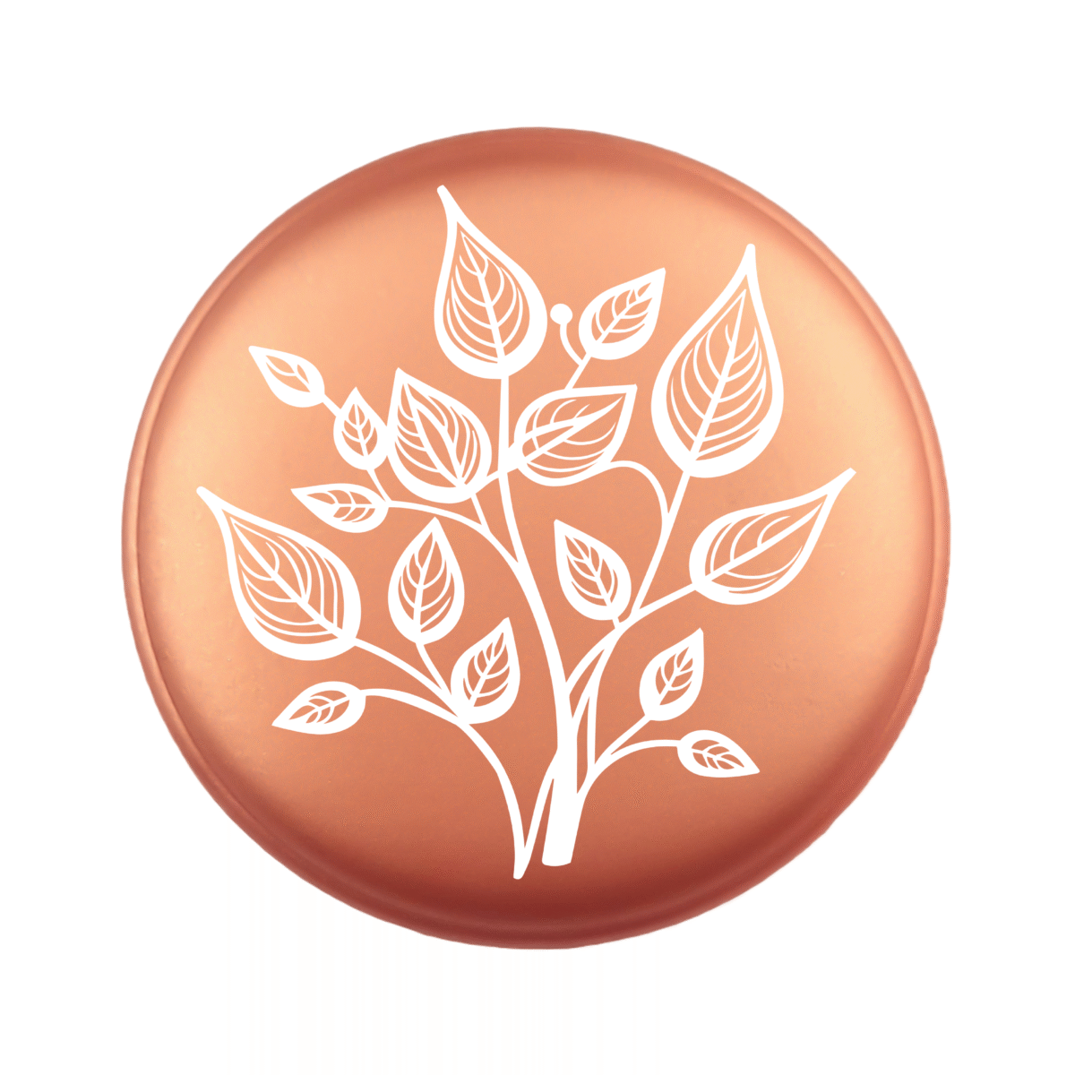 Siliconen Kraal - Wensmuntje - Gegraveerd - Allerliefste Mama - Afbeelding 13