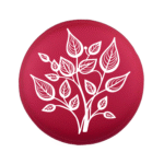 Siliconen Kraal - Wensmuntje - Gegraveerd - Allerliefste Mama - Afbeelding 10